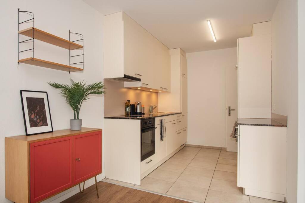 Spacious Apartment Next To Rhine บาเซิล ภายนอก รูปภาพ