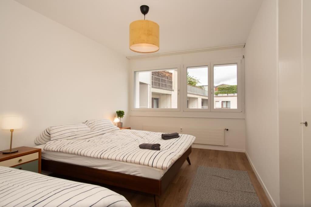 Spacious Apartment Next To Rhine บาเซิล ภายนอก รูปภาพ