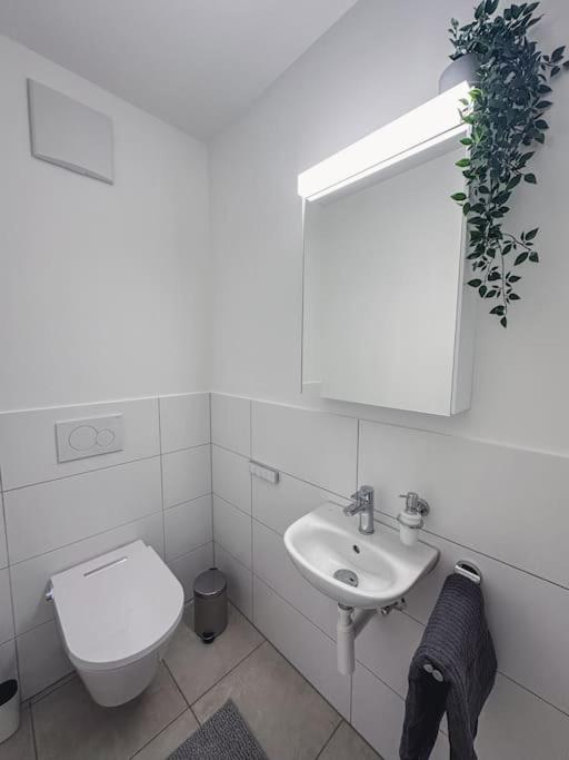 Spacious Apartment Next To Rhine บาเซิล ภายนอก รูปภาพ